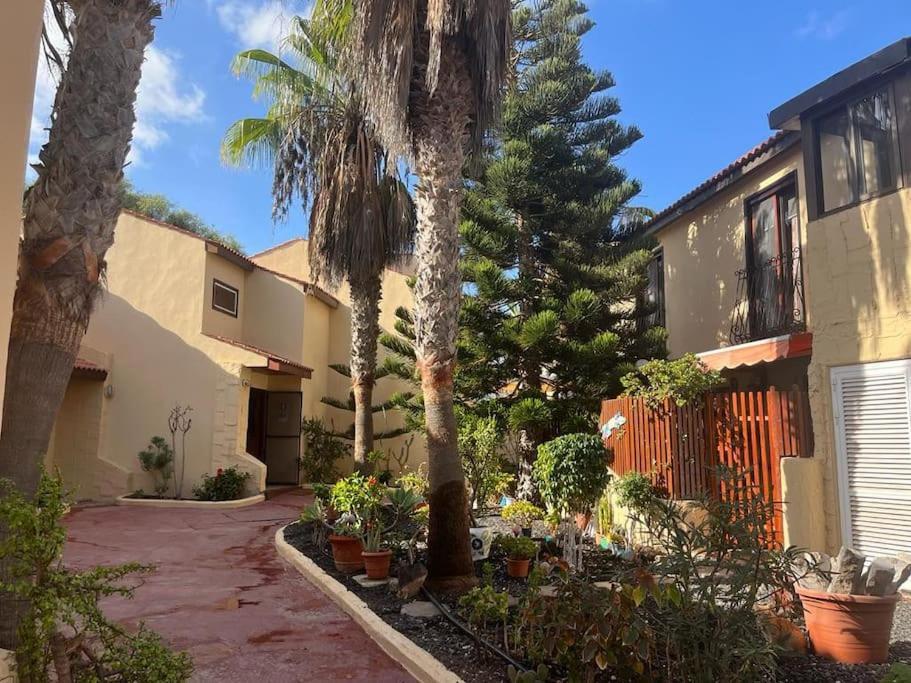 Casa Cactus Paraiso Parque Holandes Exterior foto