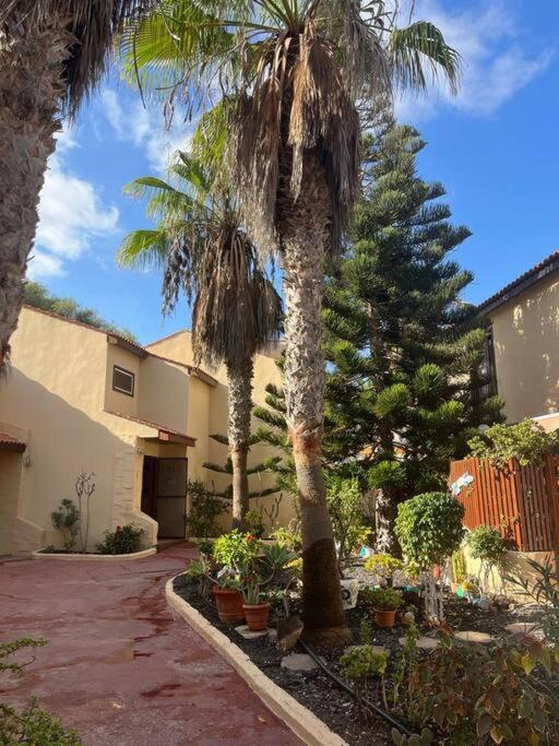 Casa Cactus Paraiso Parque Holandes Exterior foto